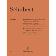 Schubert, Variations on “Trockne Blumen” in E minor op.160 D802 for Violin and Piano